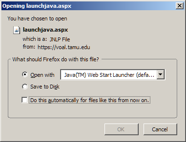 Opening launchjava.aspx